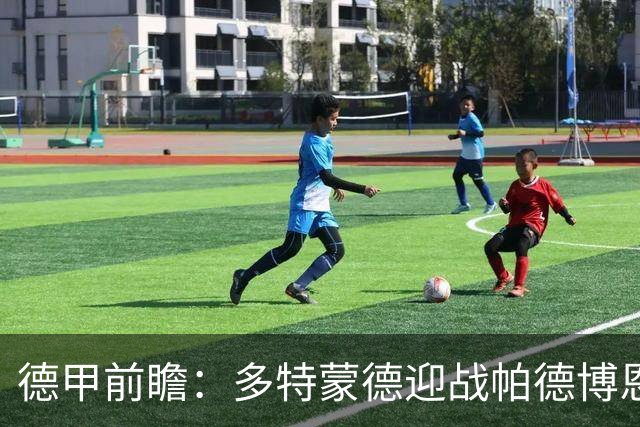 德甲前瞻：多特蒙德迎战帕德博恩，霍芬海姆盼逆转斯图加特