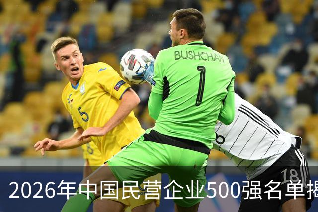2026年中国民营企业500强名单揭晓